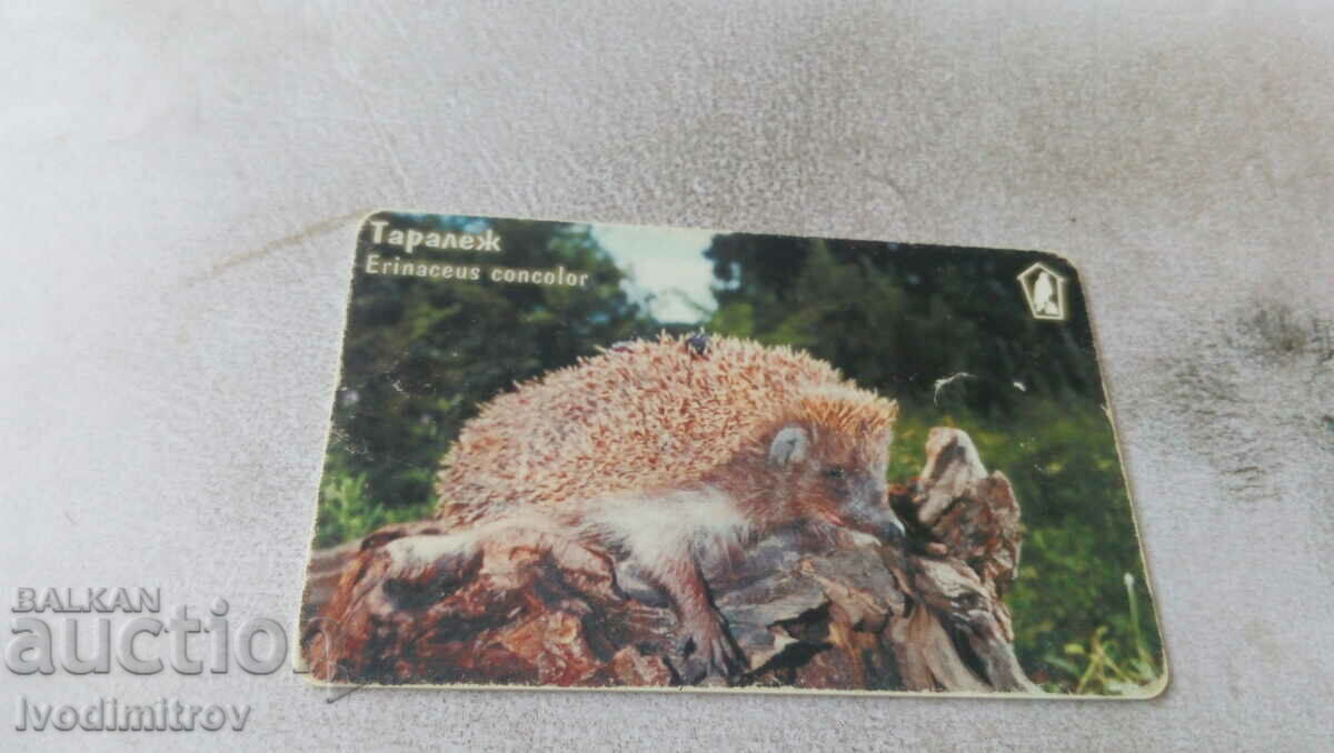 Phonocard Mobika Hedgehog 100 ipulsuri