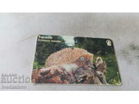 Phonocard Mobika Hedgehog 100 ipulsuri