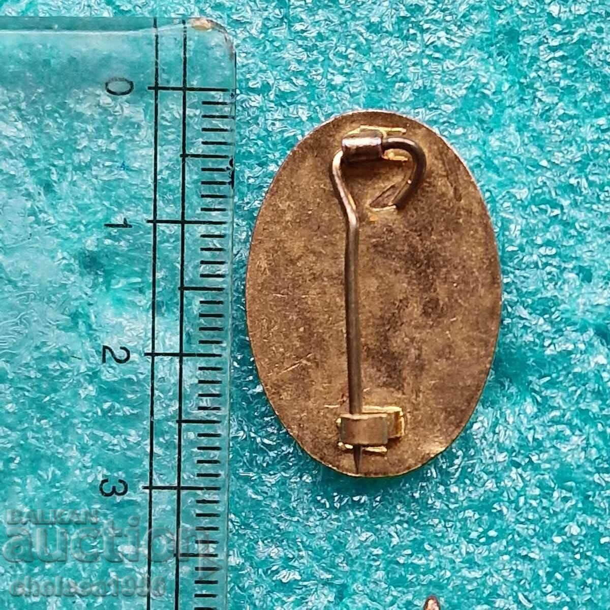 Auction  Tottenham Hotspur Badge 1970