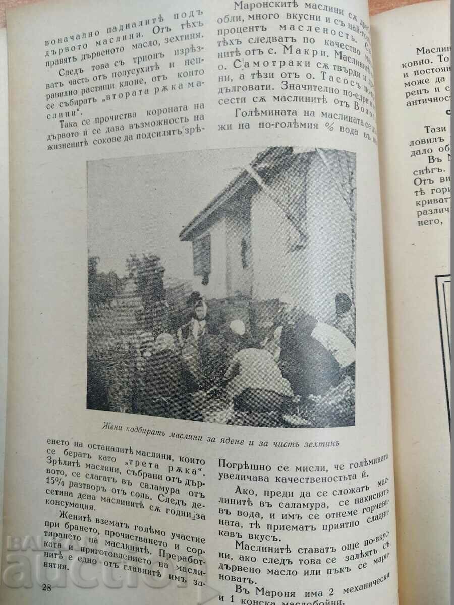 1942 KINGDOM OF BULGARIA YOUNG BULGARIAN RARE MAGAZINE NEWSPAPER - 6 1942 KINGDOM OF BULGARIA YOUNG BULGARIAN RARE MAGAZINE NEWSPAPER - 6