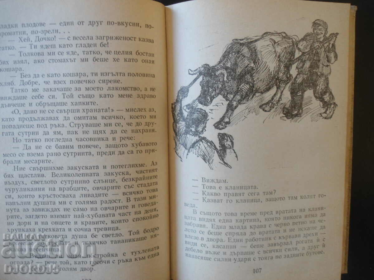 Auction  When I was young, Dobri Nemirov