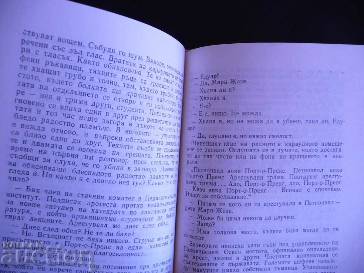 Delivery of Minus Infinity - Antony Phelps Haitian Novel Haiti Delivery of Minus Infinity - Antony Phelps Haitian Novel Haiti