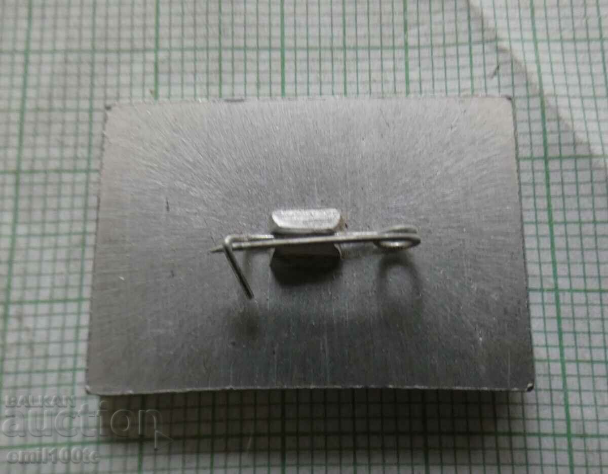 Delivery of Badge - Aeroflot 1941 - 1945 USSR Delivery of Badge - Aeroflot 1941 - 1945 USSR