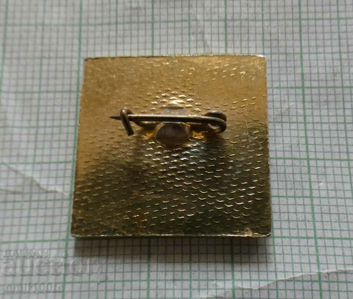 Delivery of Badge - MT probably Young Technician or Mototechnician Delivery of Badge - MT probably Young Technician or Mototechnician