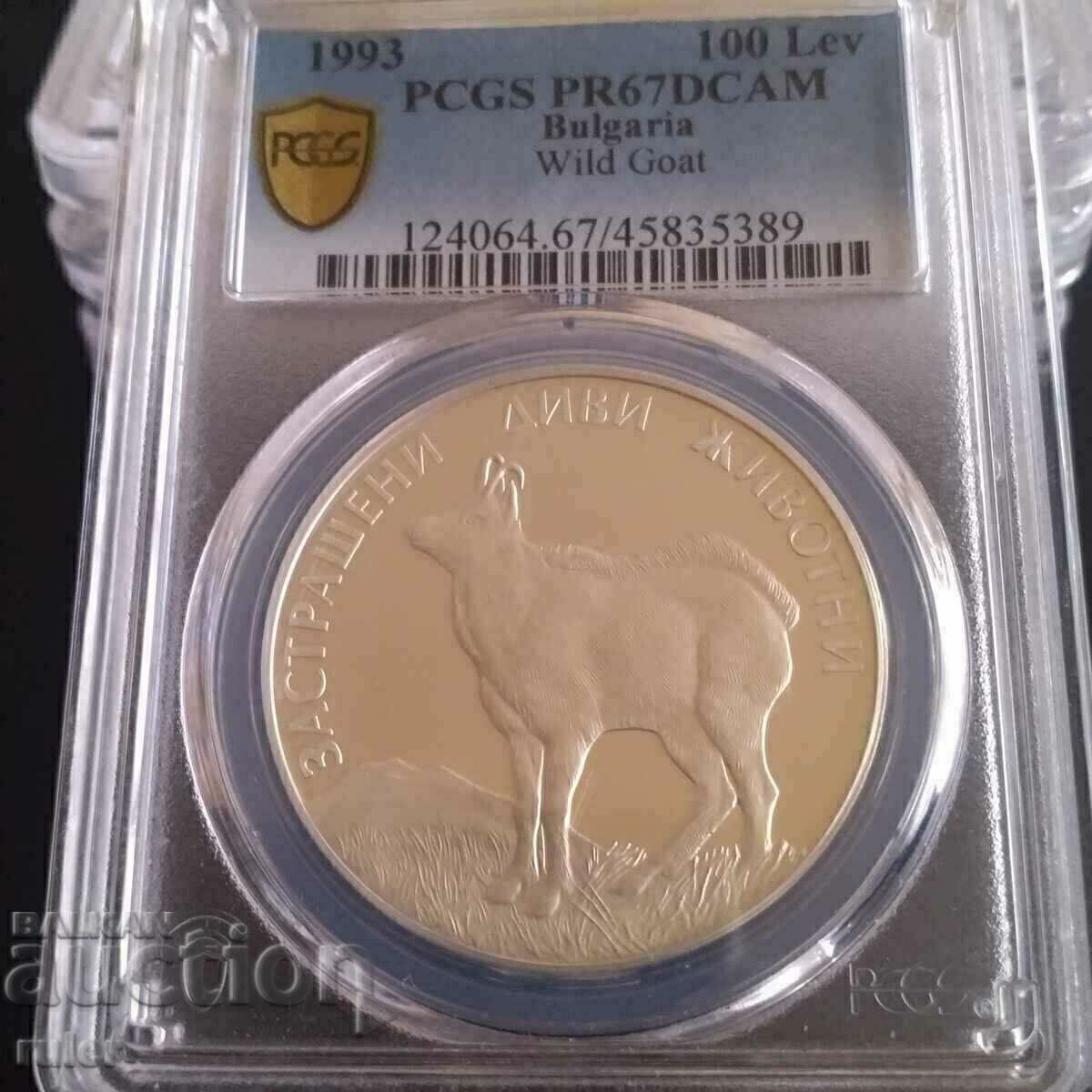 Аукцион 100 лева 1993 PR67 PCGS Дива Коза