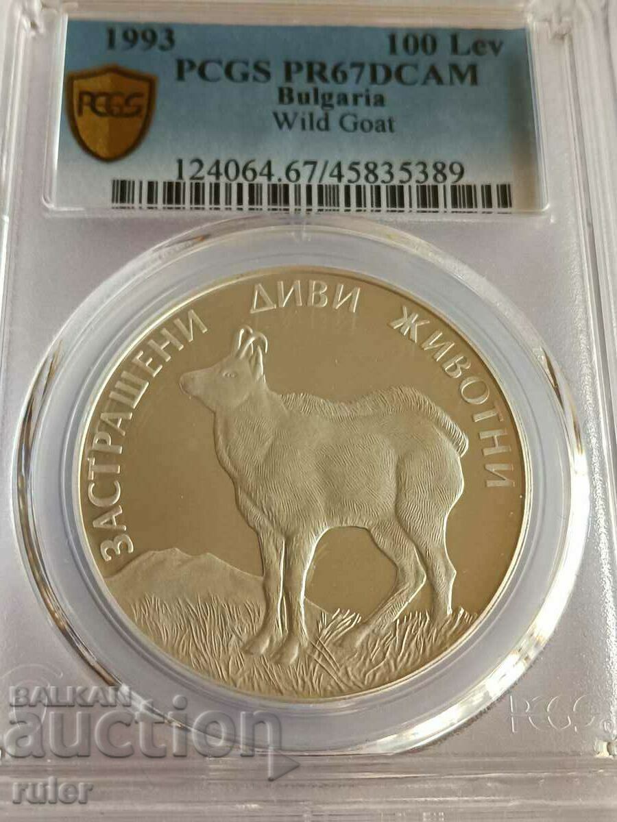 100 BGN 1993 PR67 PCGS Capră sălbatică - 6 100 BGN 1993 PR67 PCGS Capră sălbatică - 6