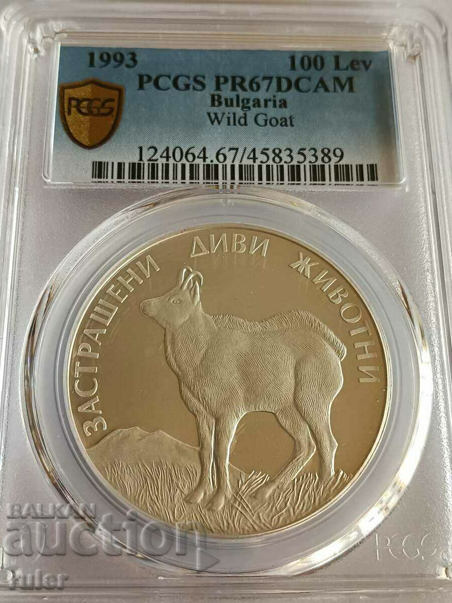 100 лева 1993 PR67 PCGS Дива Коза - 7