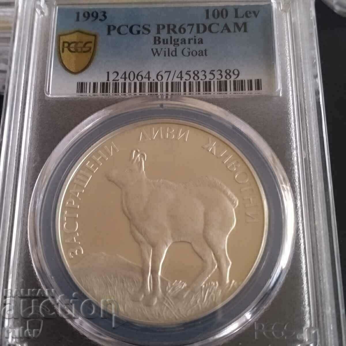 100 BGN 1993 PR67 PCGS Capră sălbatică