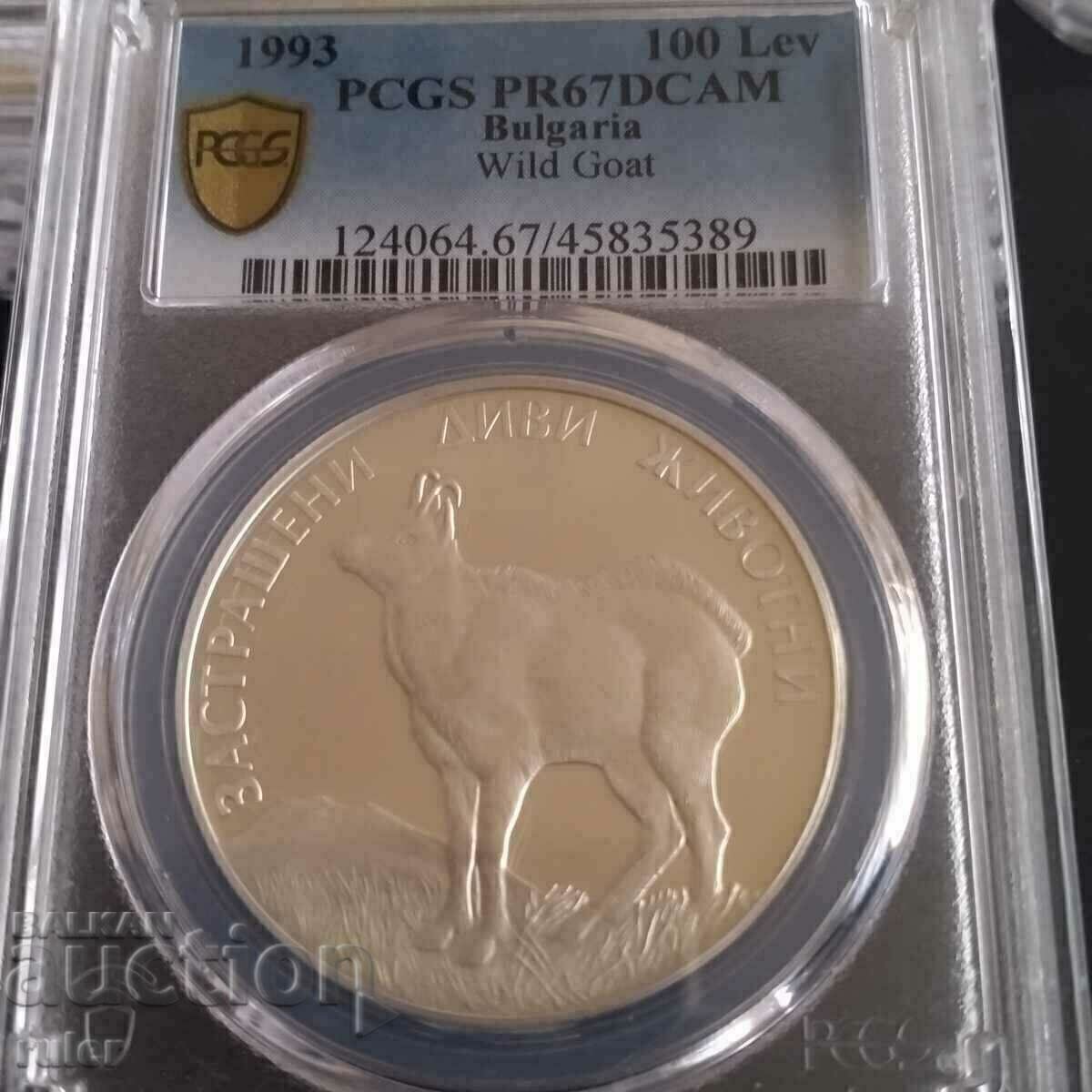 100 BGN 1993 PR67 PCGS Capră sălbatică 100 BGN 1993 PR67 PCGS Capră sălbatică