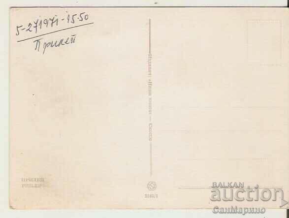 Bat View Card 2* with price 0.80 BGN | € 0.41 Bat View Card 2* with price 0.80 BGN | € 0.41