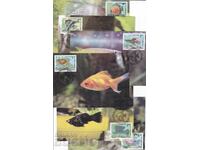 Карти максимум 1993 Декоративни риби 6 бр.