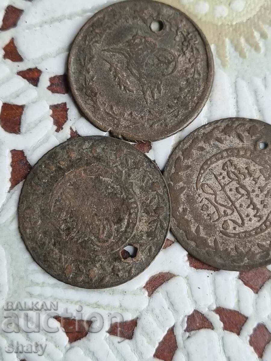 Delivery of Turkish Mahmouds Delivery of Turkish Mahmouds