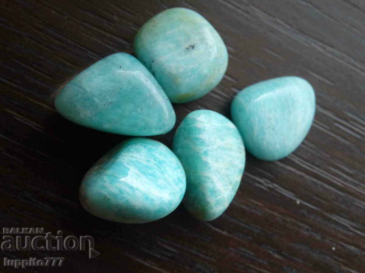 Δημοπρασία Φυσικός γυαλισμένος αμαζονίτης 87,50 καρατίων 5 τεμάχια Δημοπρασία Φυσικός γυαλισμένος αμαζονίτης 87,50 καρατίων 5 τεμάχια
