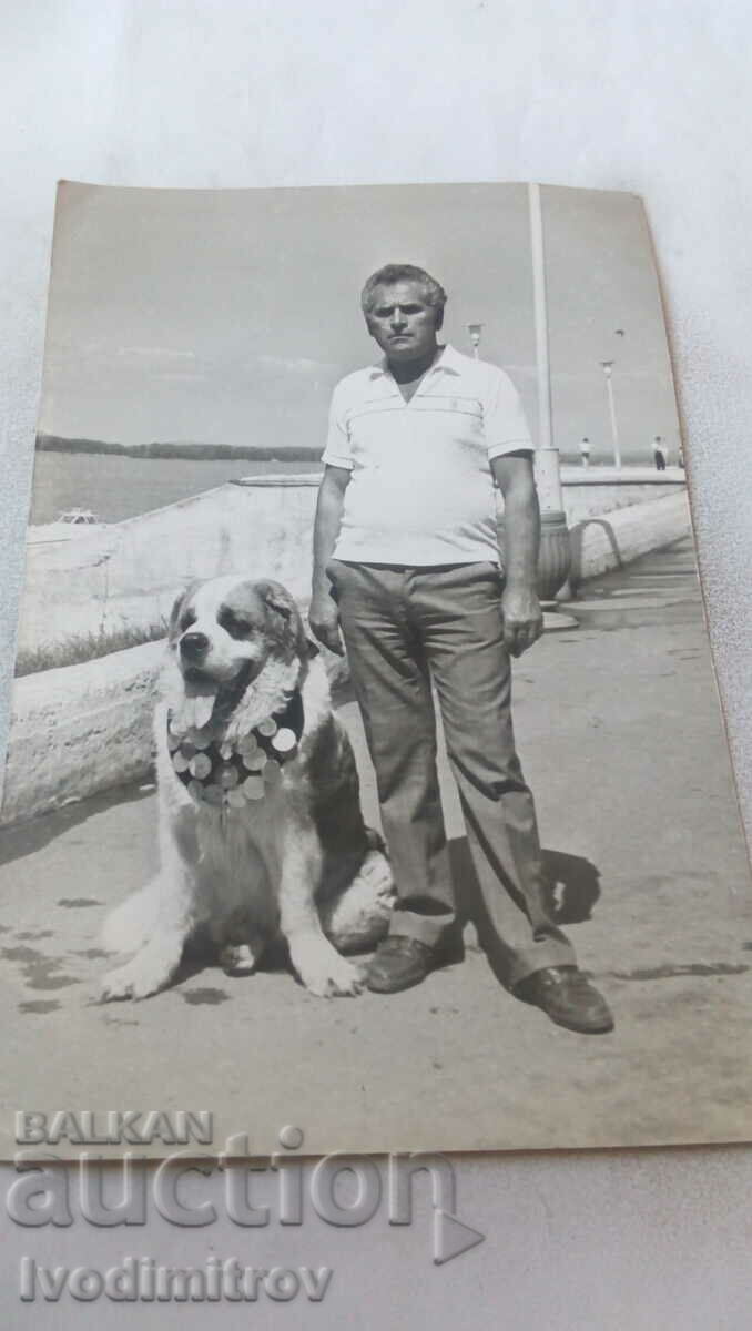 Снимка Мъж с куче Сан Белнар с много медали