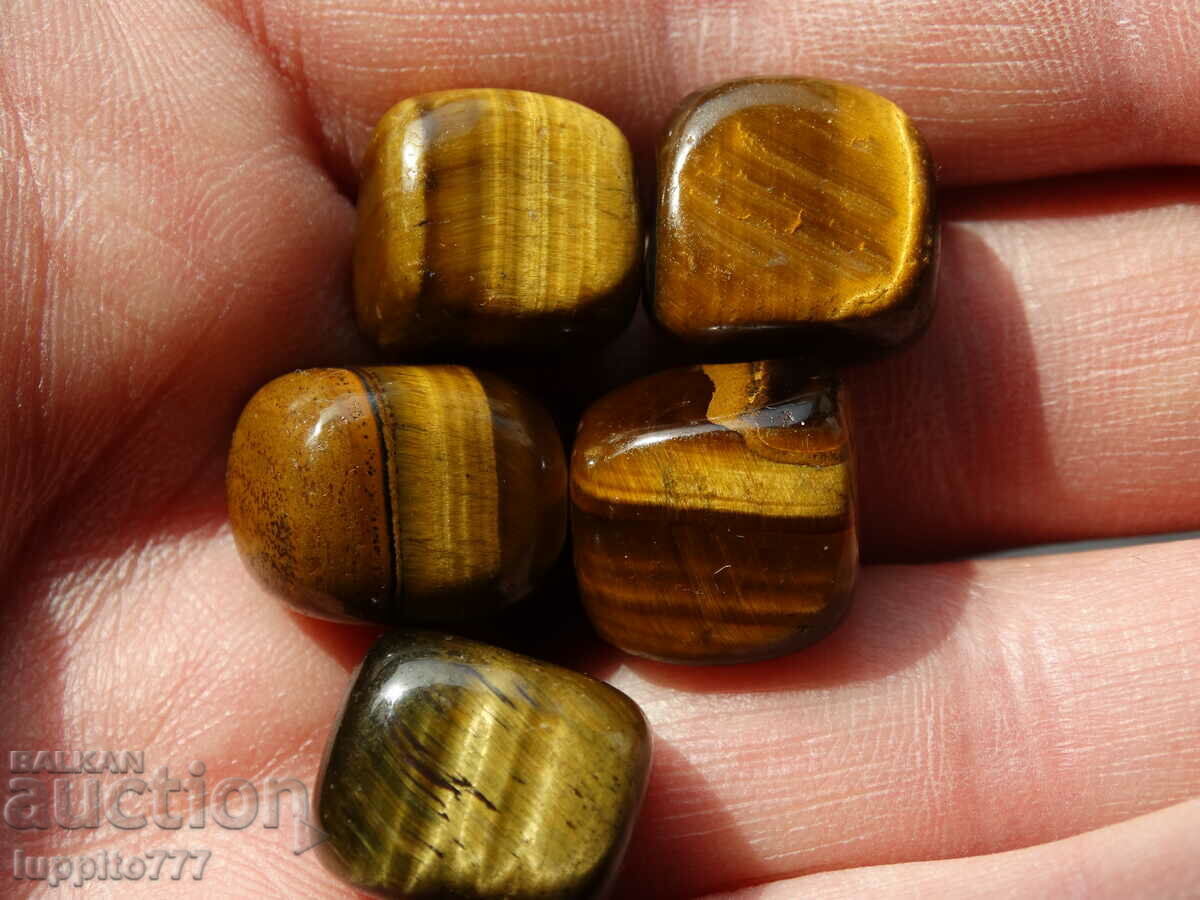 Δημοπρασία Φυσικό μάτι τίγρης 109.870 καρατίων 5 τεμάχια Δημοπρασία Φυσικό μάτι τίγρης 109.870 καρατίων 5 τεμάχια