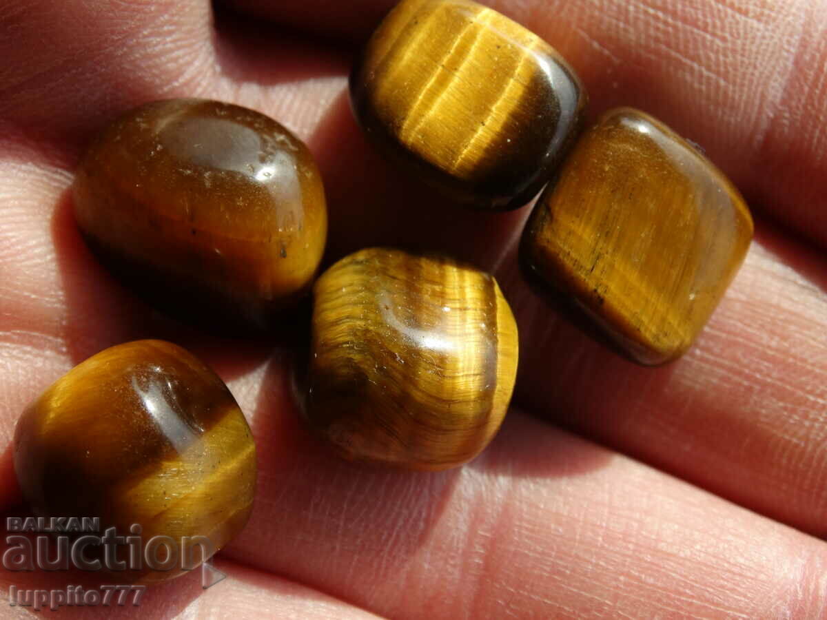 Φυσικό μάτι τίγρης 94,70 καρατίων 5 τεμάχια - 6 Φυσικό μάτι τίγρης 94,70 καρατίων 5 τεμάχια - 6