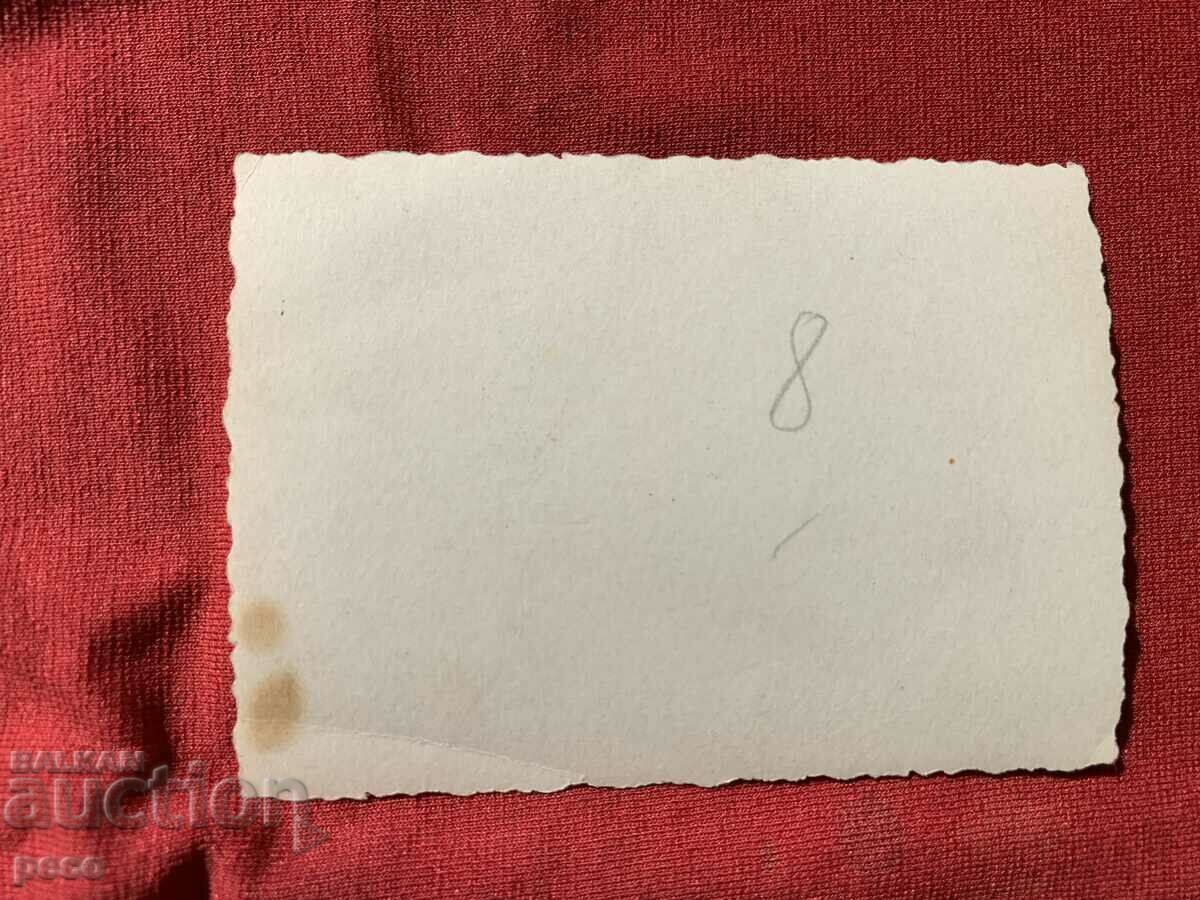 Aircraft Dornier-17 Z-2 ? Landed on "kesterme" old photo - 7