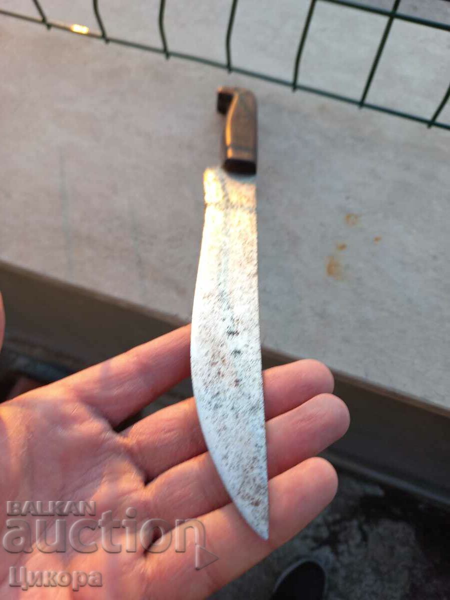 STAR BUCK CARACULAR with price 120.00 BGN | € 61.36