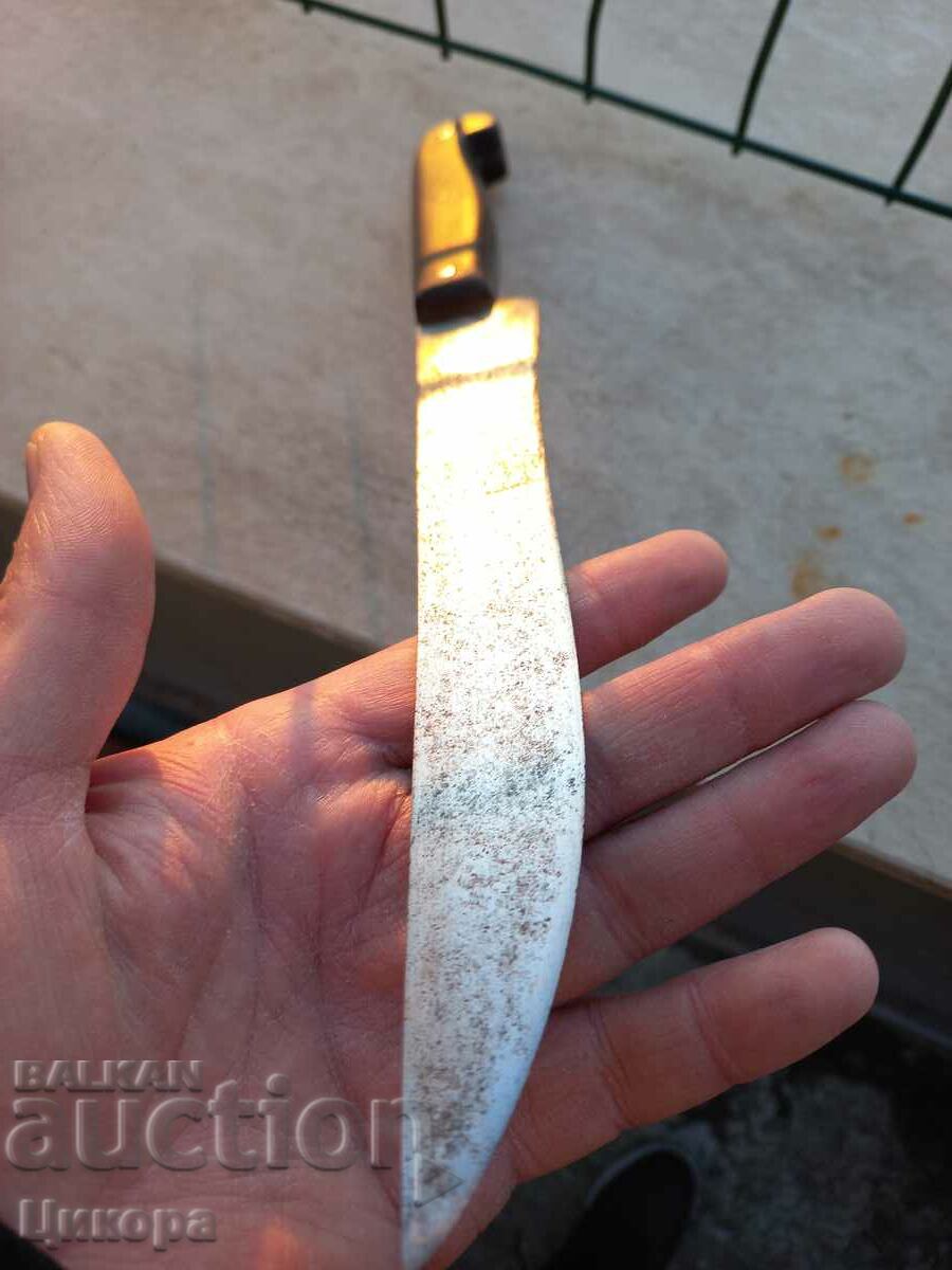 Auction  STAR BUCK CARACULAR