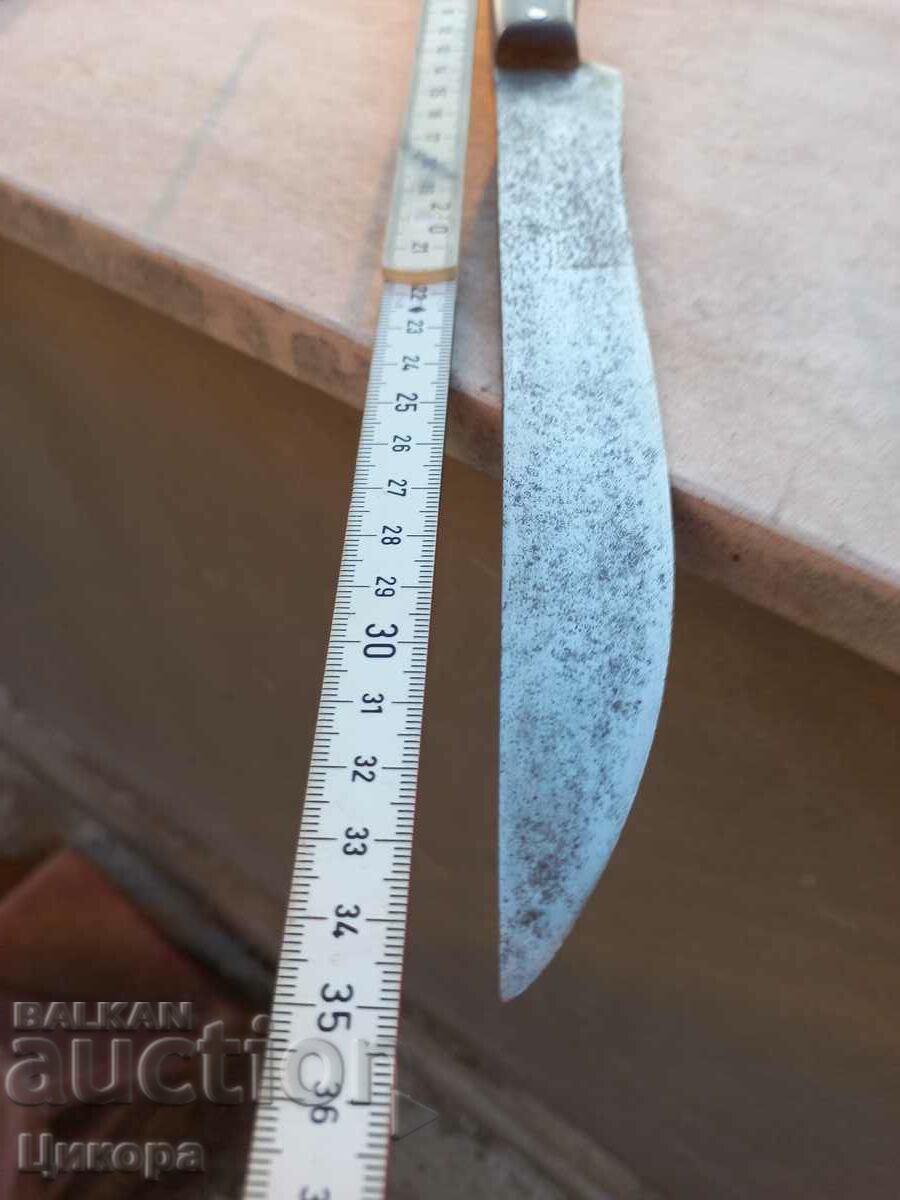 Delivery of STAR BUCK CARACULAR