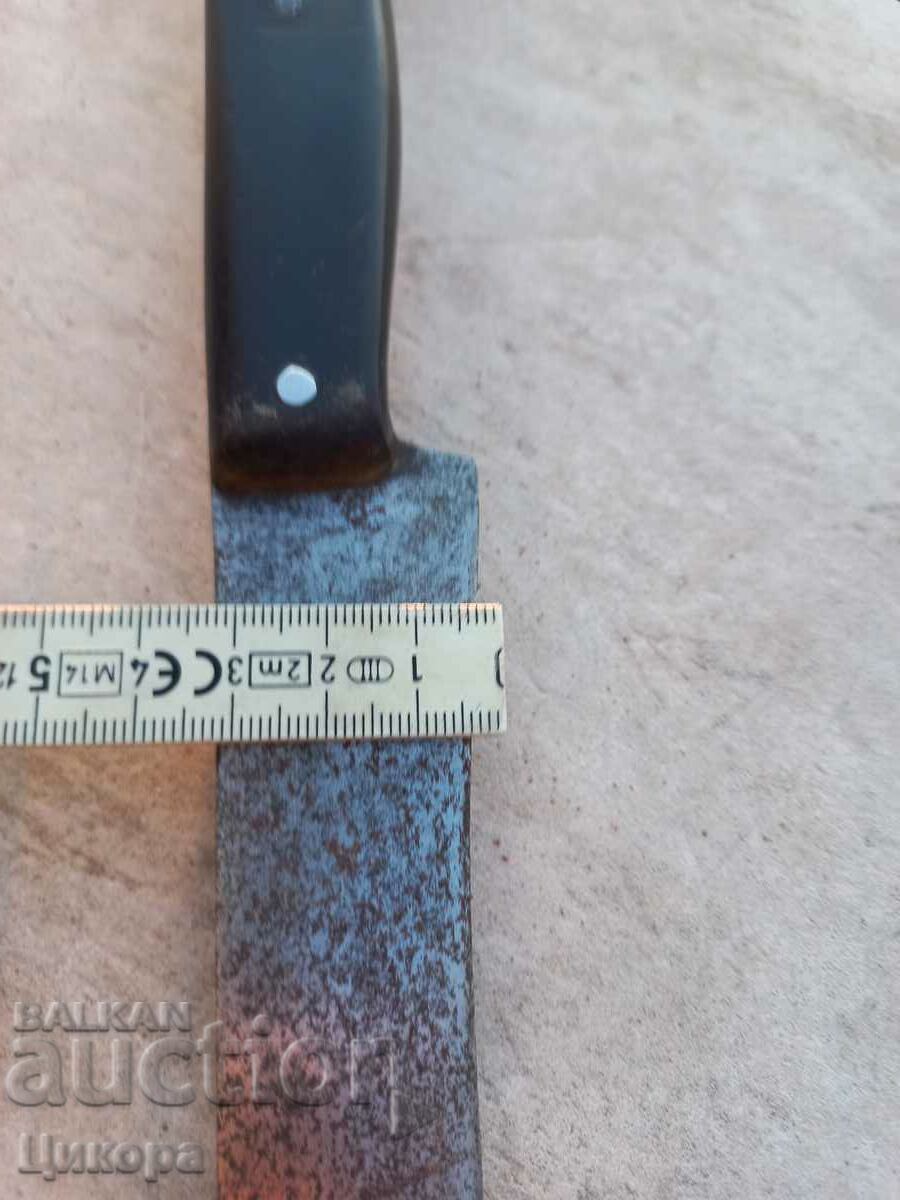 STAR BUCK CARACULAR - 5