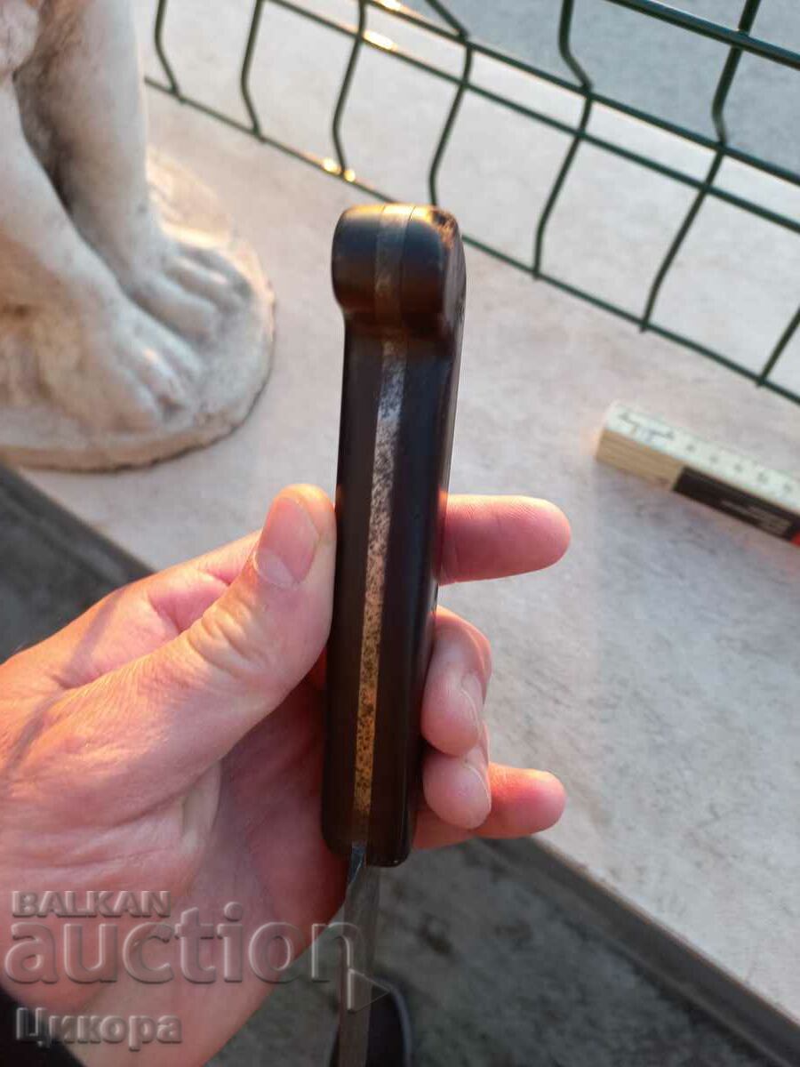 STAR BUCK CARACULAR - 6