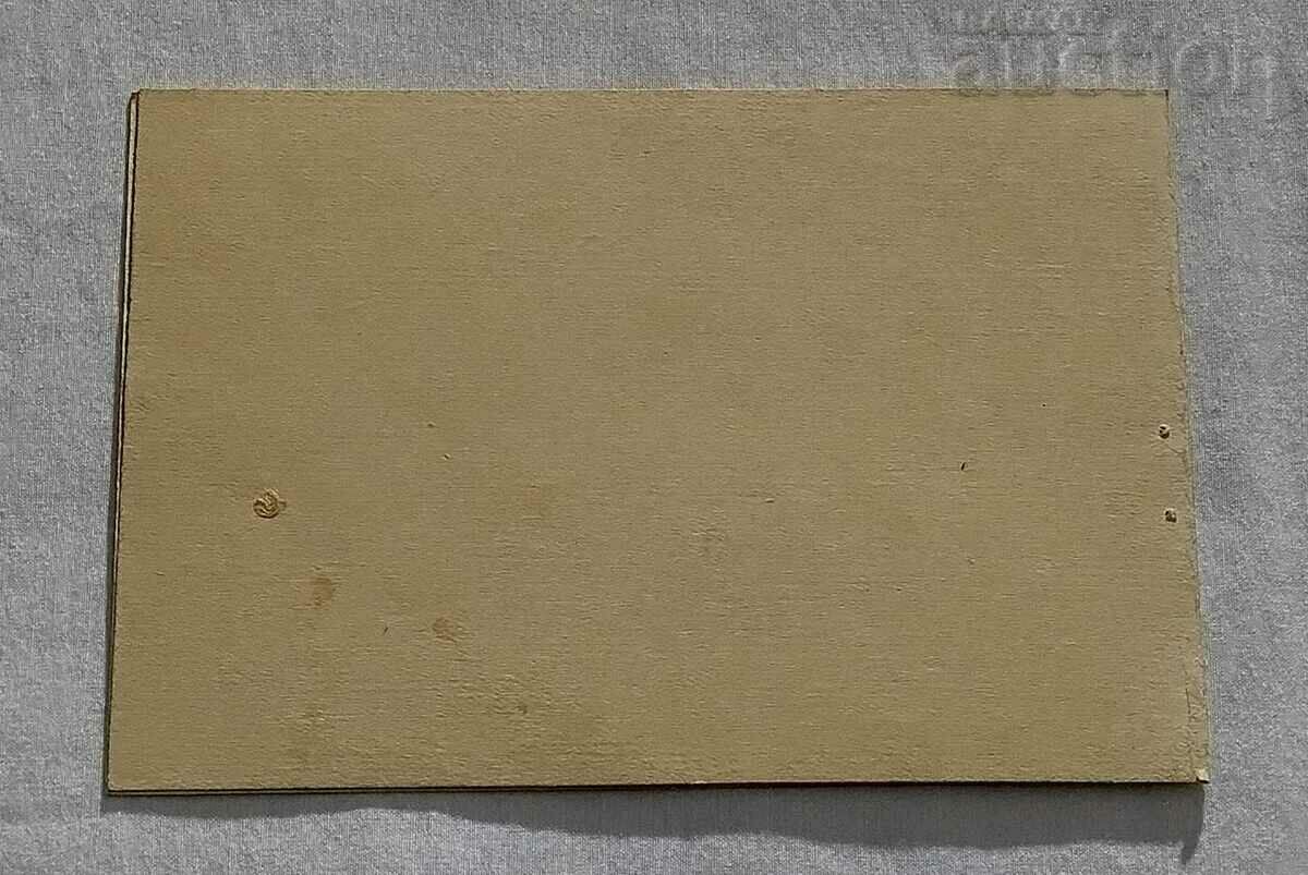 Auction  CAT GUITAR SERENADE P.K. 1966