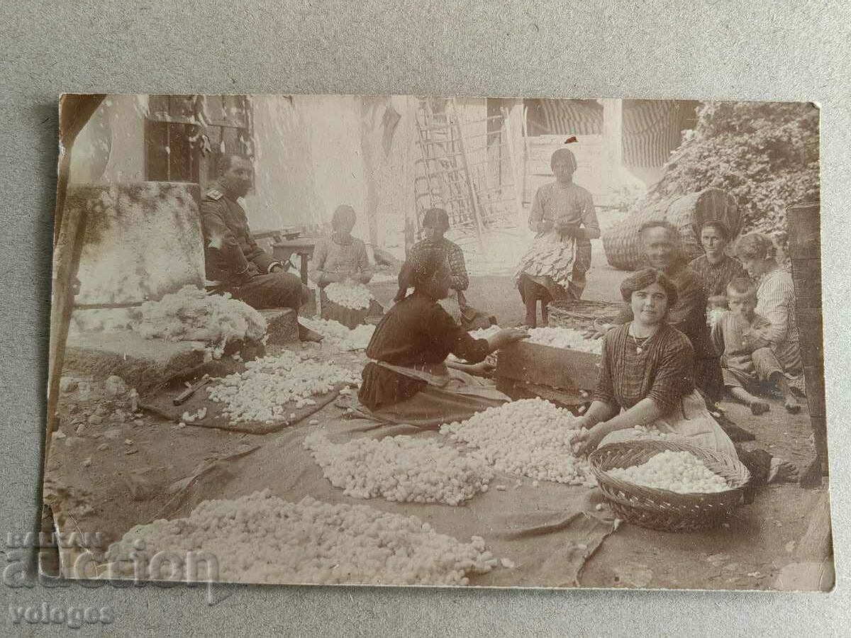 Бубарство в България, начало на 20 век