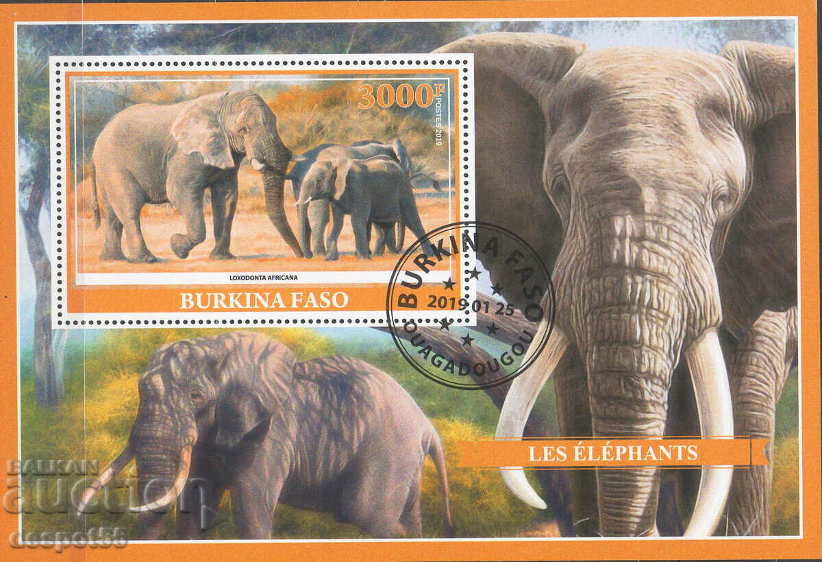 2019. Burkina Faso. Elephants. Block.