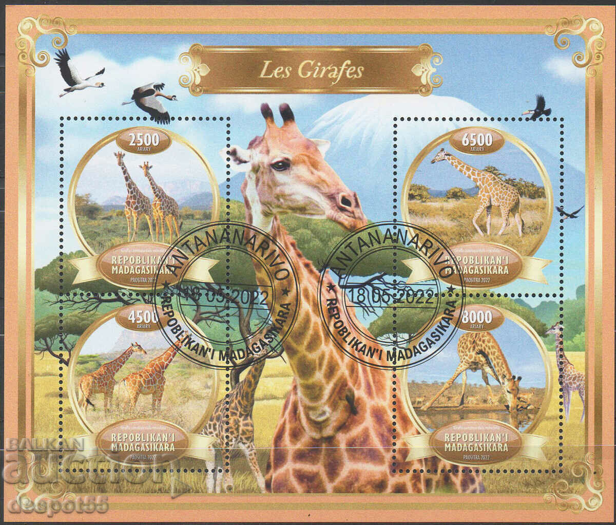 2022. Madagascar. Giraffes. Block.