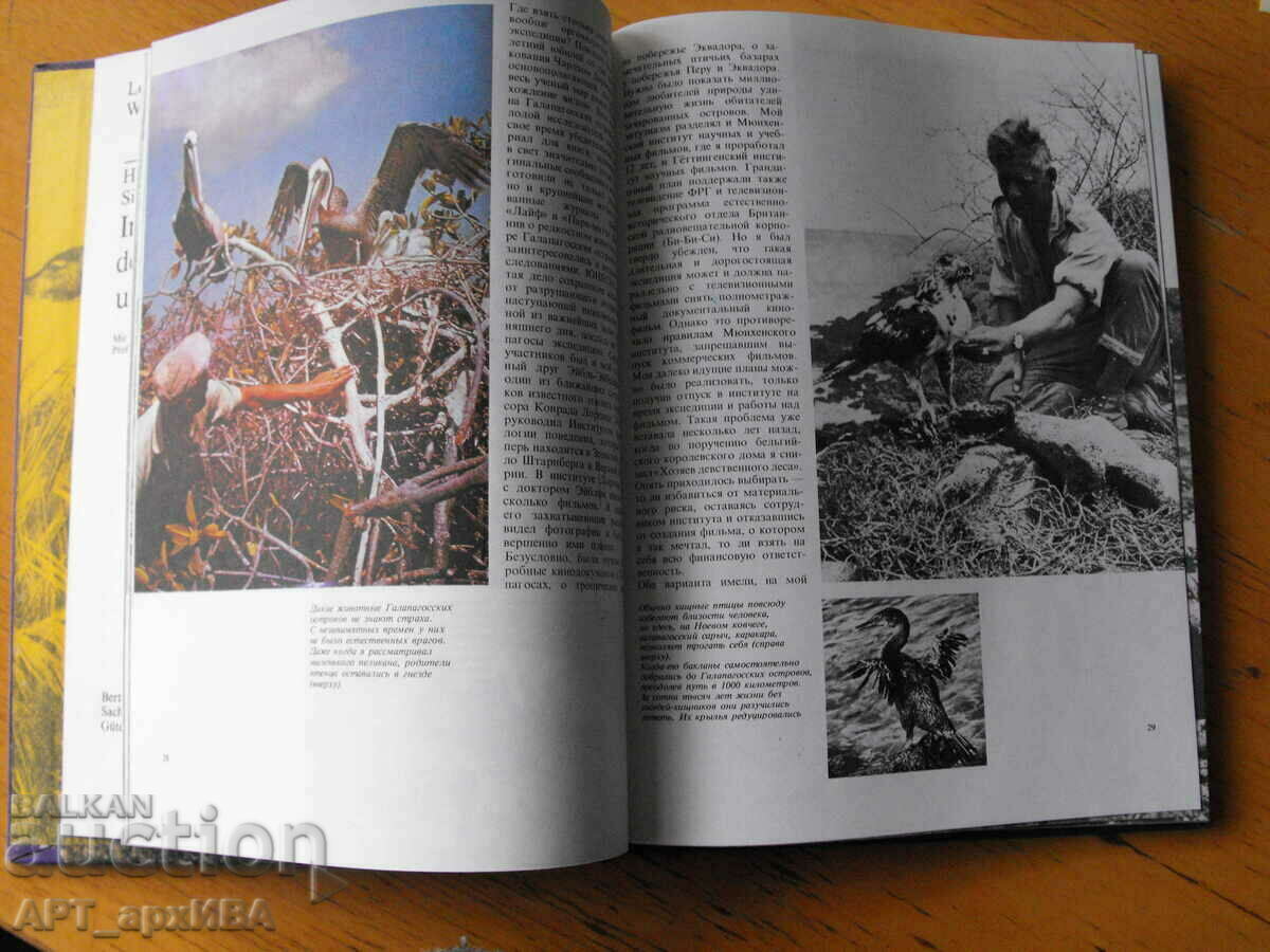 In strange dragon and fairy birds /in Russian ez./, H.Zilman. with price 17.50 BGN | € 8.95 In strange dragon and fairy birds /in Russian ez./, H.Zilman. with price 17.50 BGN | € 8.95