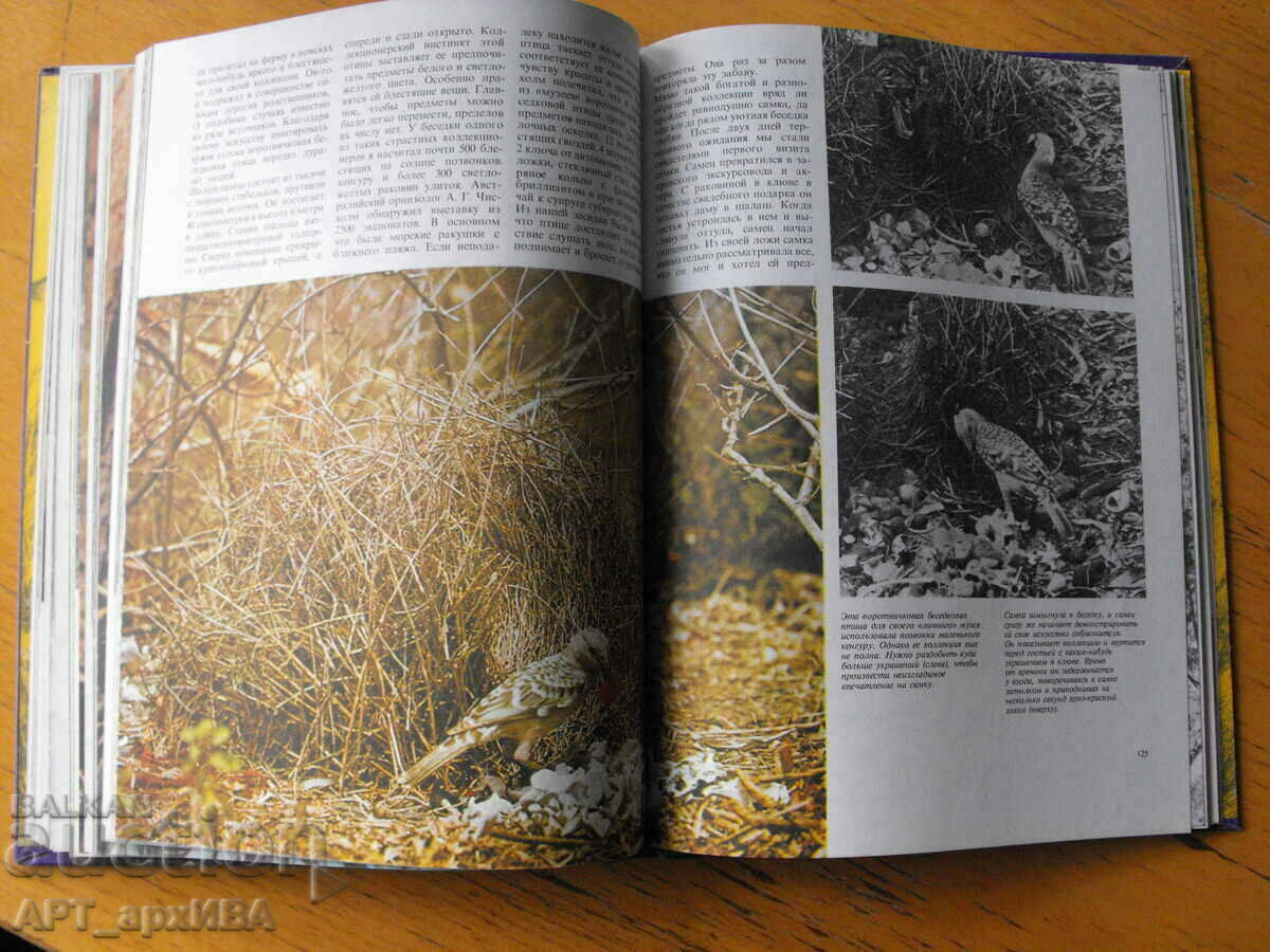 Delivery of In strange dragon and fairy birds /in Russian ez./, H.Zilman. Delivery of In strange dragon and fairy birds /in Russian ez./, H.Zilman.