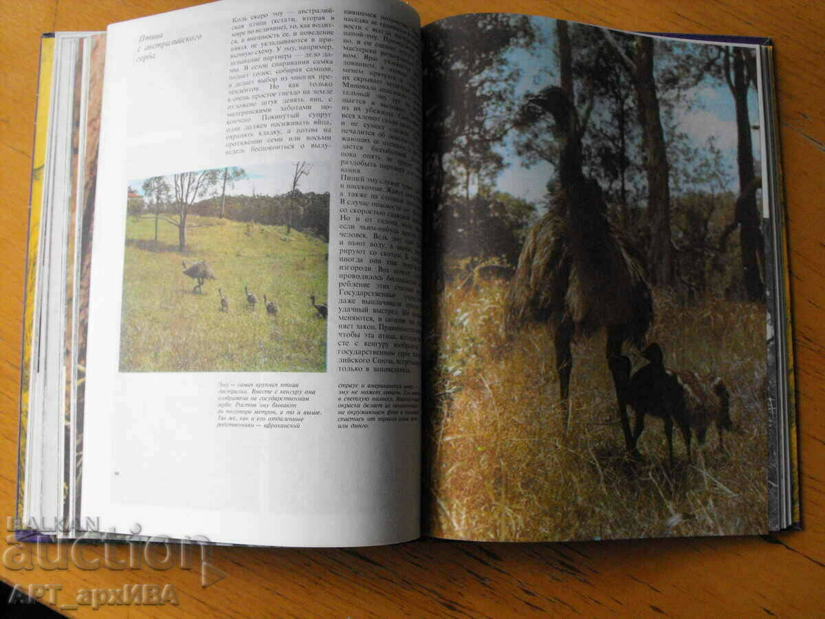 In strange dragon and fairy birds /in Russian ez./, H.Zilman. - 5 In strange dragon and fairy birds /in Russian ez./, H.Zilman. - 5