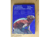 În ciudat dragon și păsări zâne /în rusă ez./, H.Zilman.