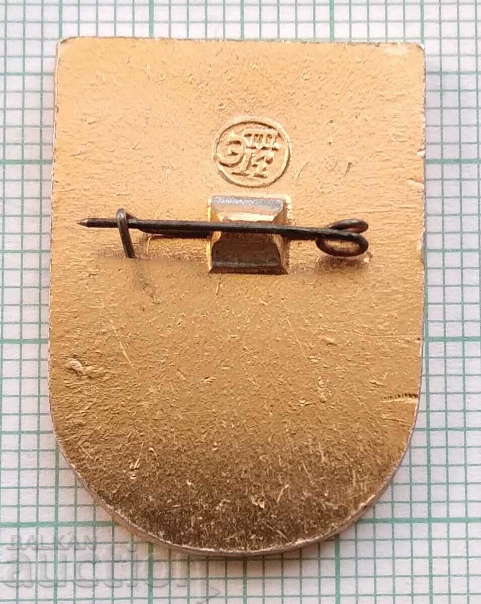 Auction  12436 Badge - T.V.P