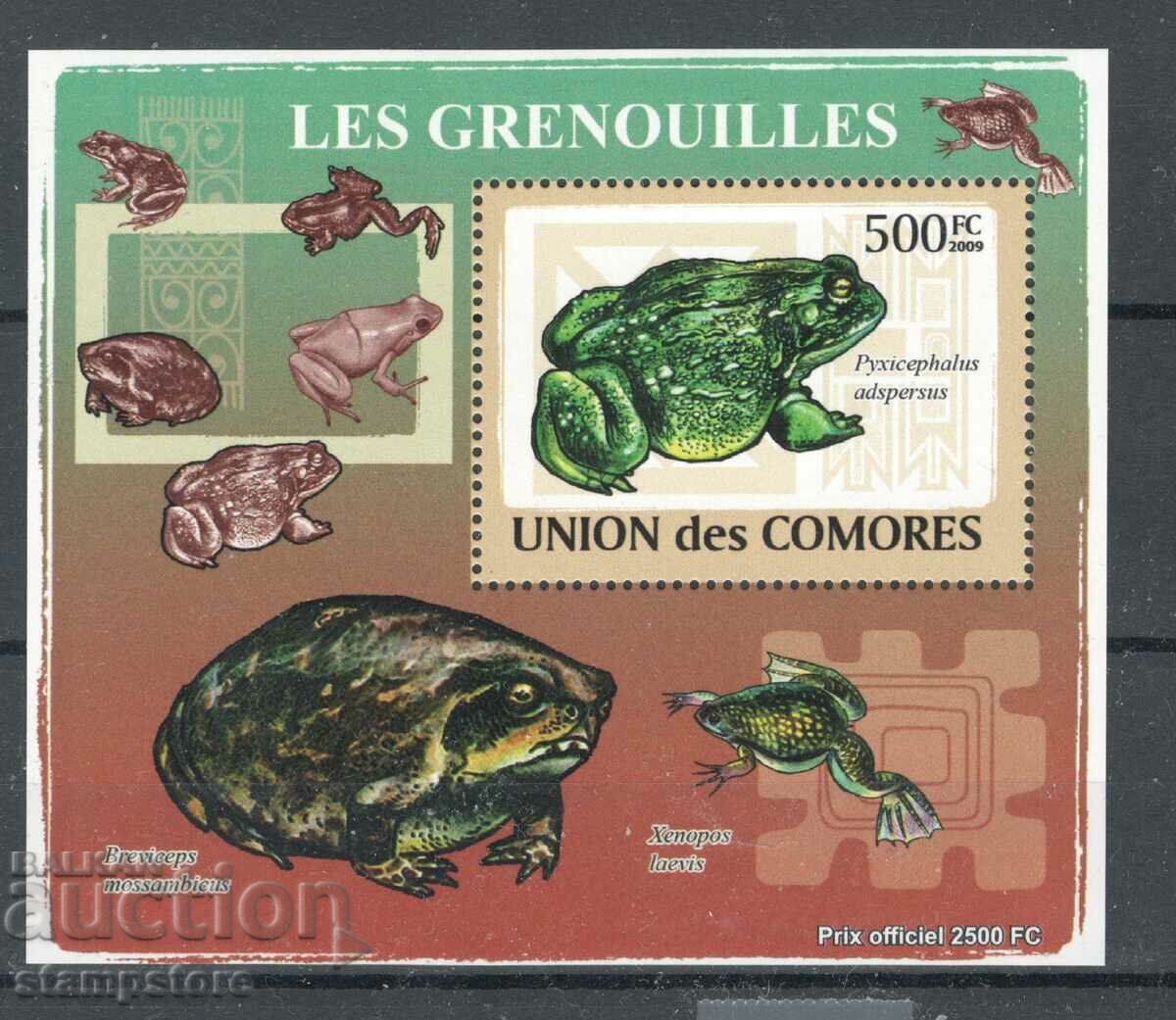 Insulele Comore - Block Frogs