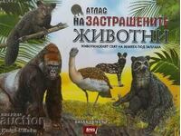 Atlas of Endangered Animals - Paula Hammond