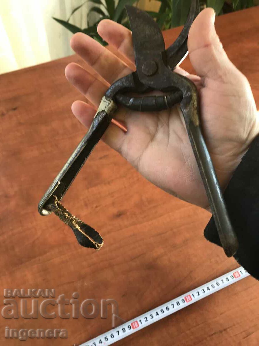 Auction VINE SCISSORS-LARGE THORN MARKING Auction VINE SCISSORS-LARGE THORN MARKING