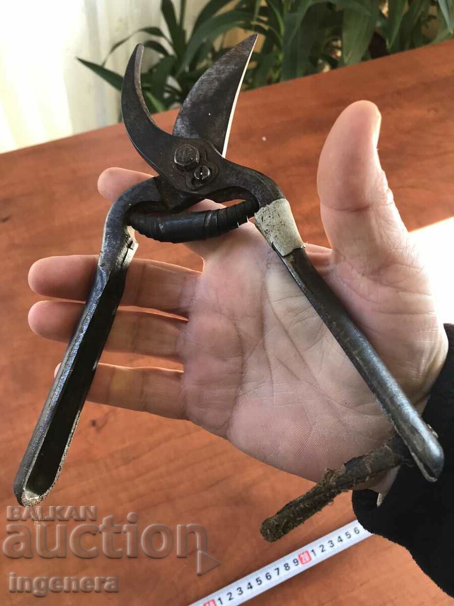 Delivery of VINE SCISSORS-LARGE THORN MARKING Delivery of VINE SCISSORS-LARGE THORN MARKING