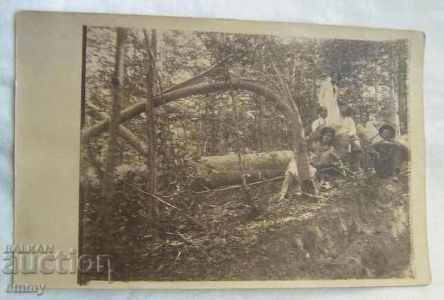 Fotografie veche - Ieșire în pădure