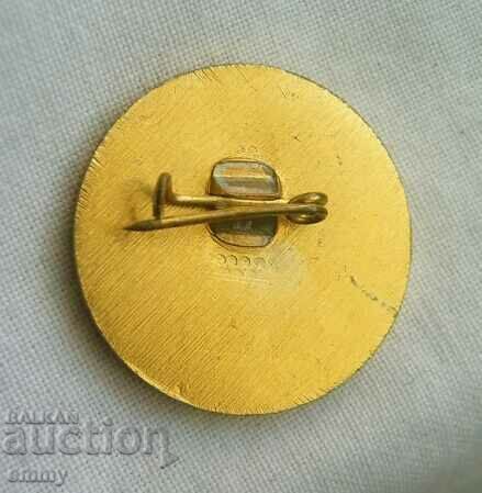 Old badge 133 school "A.S. Pushkin" Sofia, 1963 with price 4.50 BGN | € 2.30 Old badge 133 school "A.S. Pushkin" Sofia, 1963 with price 4.50 BGN | € 2.30