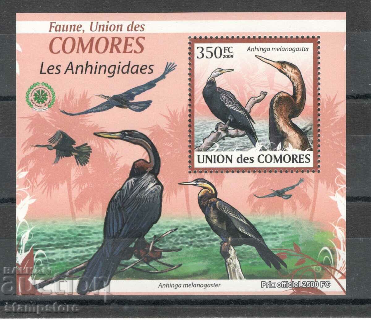 Fauna din Insulele Comore - Păsări