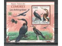 Πανίδα των Νήσων Κομόρες - Πουλιά