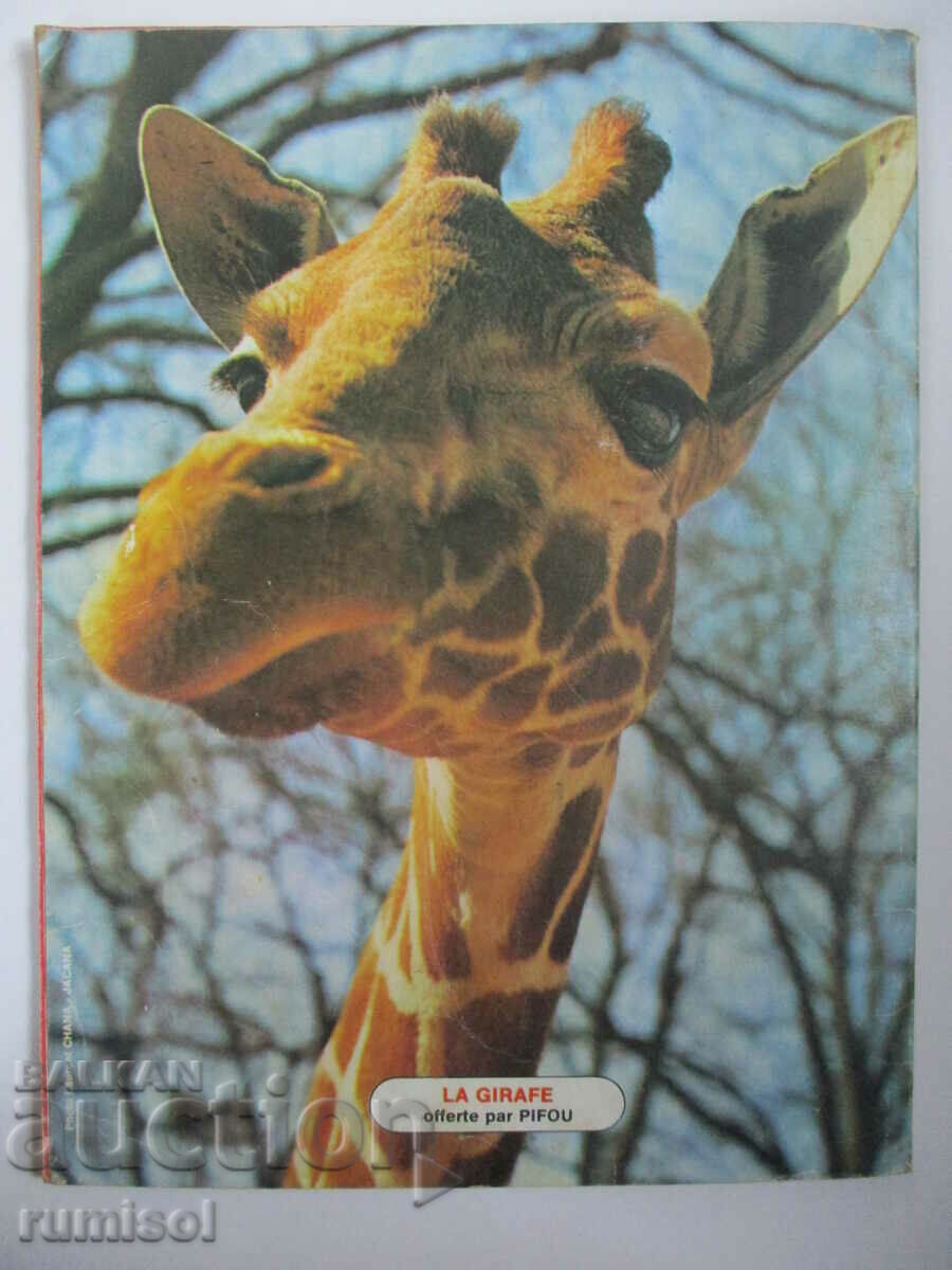 PiFou - 2: Les villes mystérieuses - 7 PiFou - 2: Les villes mystérieuses - 7