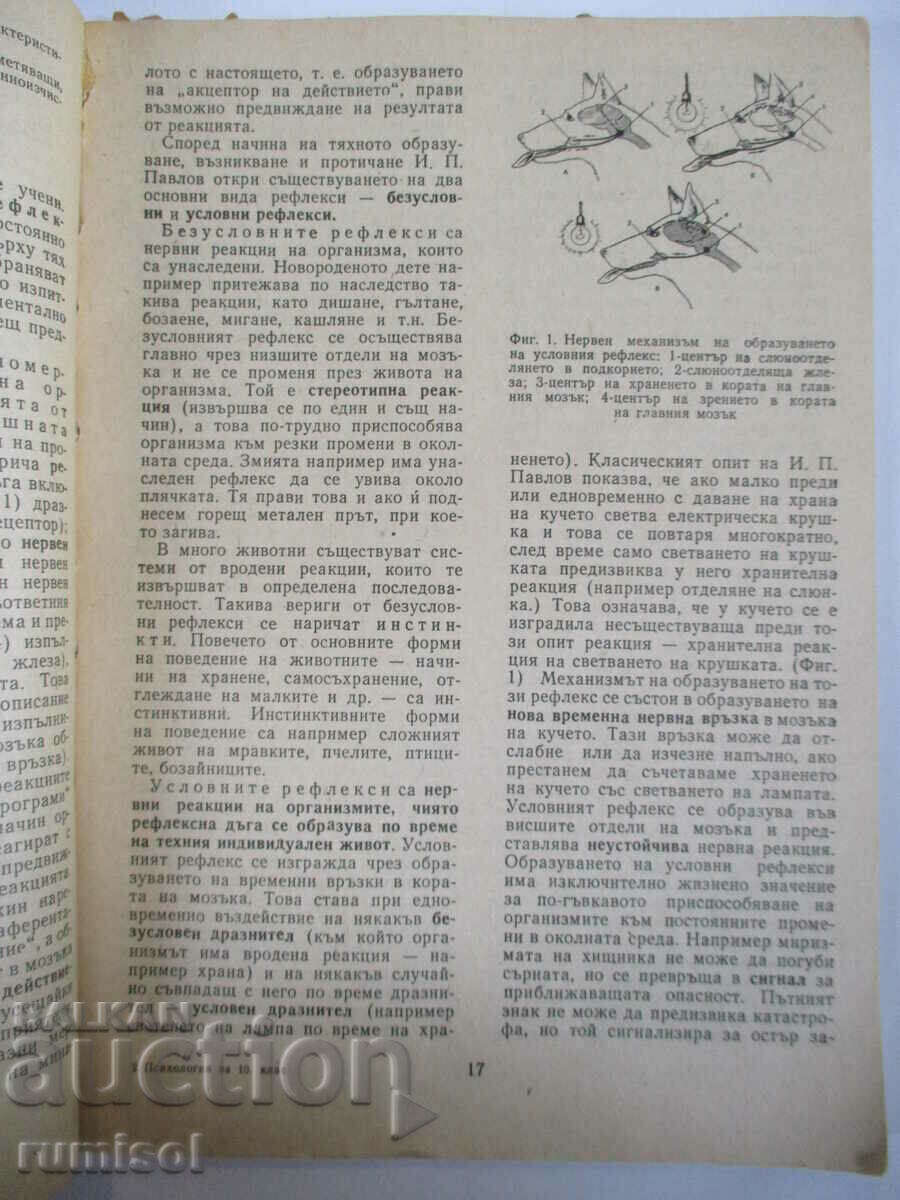 Delivery of Psychology - 10th grade - Todor Berov, Sasho Chakarov Delivery of Psychology - 10th grade - Todor Berov, Sasho Chakarov