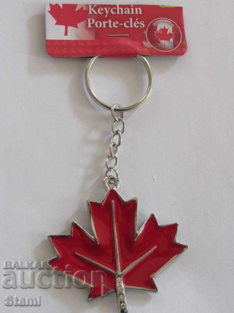 Delivery of Metal keychain from Canada-series-14