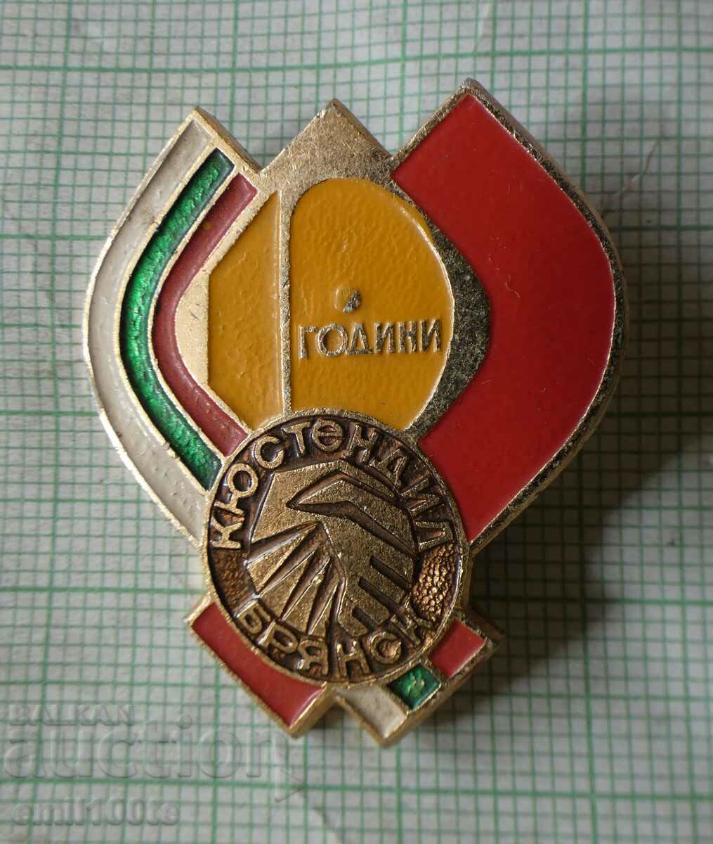 Badge - 10 years of sister cities Kyustendil Bryansk