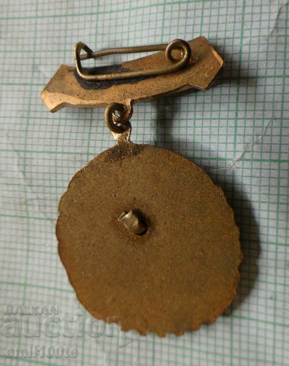 Delivery of Badge - DKMS For active work Delivery of Badge - DKMS For active work