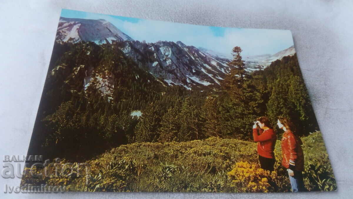 Postcard Pirin Locality Pogledets 1983