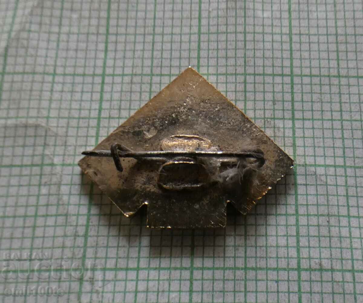 Delivery of Badge - 50 years USSR Militarized Mountain Rescue Squad